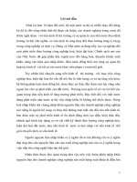 Nhập khẩu nguyên liệu cho Doanh nghiệp công nghiệp sản xuất hàng xuất khẩu - những vấn đề đặt ra và hướng giải quyết.DOC