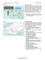 TOYOTA đào tạo kỹ thuật viên ô tô (Chuẩn đoán khung gầm 4) - P7