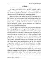 Phân tích tình hình tài chính Công ty cổ phần đầu tư và xây dựng Hoàng Liên Sơn.docx