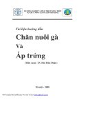 chan-nuoi-ga-va-ap-trung