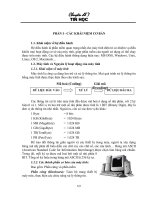 Ôn tập thi kiểm toán, kế toán viên – Q1 – Chuyên đề 7