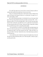 Phân tích SWOT của thương mại điện tử Việt Nam.doc