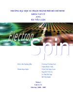 Electron spin
