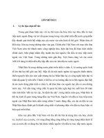 Hoạt động đầu tư trực tiếp của Nhật Bản vào miền Bắc Việt Nam thực trang và triển vọng.doc