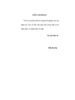 Quá trình phát triển DN vừa và nhỏ ngoài quốc doanh ở tỉnh Bắc Ninh giai đoạn từ 1997- 2003 - Thực trạng, kinh nghiệm và giải pháp.pdf