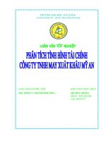 Phân tích tình hình tài chính công ty TNHH may xuất khẩu Mỹ An.doc