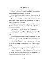 Phân tích quá trình CPH DNNN ở Việt Nam. Trình bày tình hình CPH một doanh nghiệp Nhà nước mà sinh viên biết.pdf