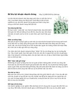 Để thu lợi nhuận nhanh chóng    