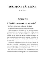 Sức Mạnh Tài Chính.docx