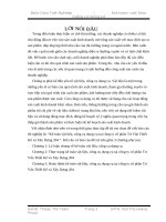 Kế toán vật liệu, công cụ dụng cụ tại công ty cổ phần Tư Vấn Thiết Kế và Xây Dựng 204.doc