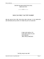 Hạch toán tiêu thụ hàng hóa nội địa và xác định kết quả kinh doanh tại công ty tnhh tm & dv cựu kim sơn.doc