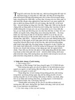 Môi trường - một trong ba trụ cột của phát triển bền vững.doc