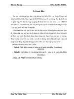 Báo cáo tổng hợp tại Công ty CP bảo hiểm Petrolimex - PJICO.DOC