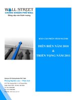 Diễn biến năm 2010 & triển vọng năm 2011.pdf