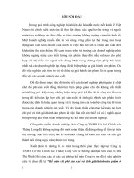 Kế toán chi phí sản xuấ và tính giá thành sản phẩm ở Công ty TNHH Cơ khí Chính xác Thăng Long.docx