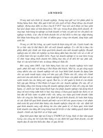 Hoàn thiện công tác kế toán tiêu thụ hàng hoá và xác định kết quả tiêu thụ tại Công ty TNHH Việt Vượng.DOC