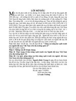 Nâng cao năng lực cạnh tranh của ngành dệt may Việt Nam trên thị trường quốc tế.doc