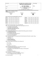 Các Đề thi kinh tế lượng có lời giải - Đề 1