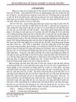 Phương án sản xuất kinh doanh khả thi của công ty Việt Tiến với phương án xuất khẩu comple.doc