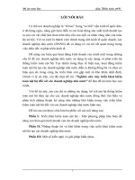 Nghiên cứu việc triển khai kiểm toán nội bộ đối với các Doanh nghiệp nhà nước.DOC