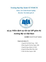 Kiểm định sự tồn tại UIP giữa thị trường Mỹ và Việt Nam.docx