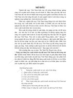 Nâng cao năng lực cạnh tranh của dệt may Việt Nam tại thị trường nội địa.doc