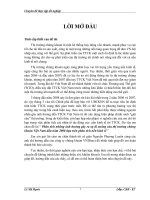 Phân tích những ảnh hưởng gây ra sự đi xuống của thị trường chứng khoán Việt Nam đầu năm 2008 dựa trên phân tích nền kinh tế.docx