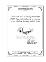 Tìm hiểu về các tập đoàn kinh tế Việt Nam. Mô hình công ty mẹ công ty con đã được áp dụng tại Việt Nam.doc