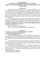  Tìm hiểu về hệt hống báo cáo tài chính trong các doanh nghiệp theo chuẩn mực kế toán việt nam