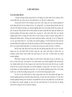 Tổ chức công tác kế toán tiêu thụ và xác định kết quả tại Công Ty TNHH Thương Mại Dược Phẩm Mạnh Tý – Việt Mỹ.doc