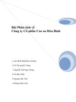 Phân tích tình hình tài chính công ty cổ phần cao su Hòa Bình.doc