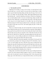 Khóa luận Chiến lược Marketing của các tập đoàn sản xuất xe hơi tại Việt Nam giai đoạn 2009-2010.doc