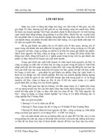 Kế toán nguyên vật liệu - công cụ dụng cụ trong doanh nghiệp.doc