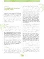 Điều tra quốc gia về vị thành niên và thanh niên Việt Nam tại 43 tỉnh thành (SAVI) năm 2003 - Bộ Y tế_ phần 2 chương8