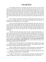 Hoàn thiện kế toán hoạt động nhập khẩu hàng hoá trong Doanh nghiệp XNK - TOCONTAP.DOC