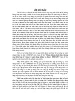 Hoàn thiện phối thức thư­ơng mại hỗn hợp ở Công ty xuất nhập khẩu và đầu tư­ IMEXIN.DOC