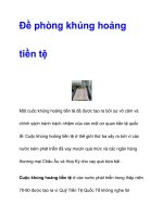 dĐề phòng khủng hoảng tiền tệ