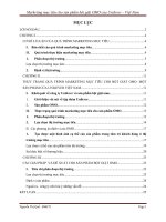 Marketing mục tiêu cho sản phẩm bột giặt OMO của Unilever - Việt Nam