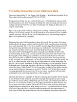  Marketing innovation và quy trình song hành 