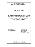 Luận văn tốt nghiệp về phân tích tình hình tài chính.