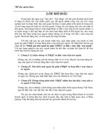 Đánh giá mối quan hệ giữa TMQT và đầu tư­ trực tiếp nư­ớc ngoài.DOC