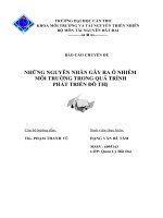 Những nguyên nhân gây ra ô nhiễm môi trường trong quá trình phát triển đô thị