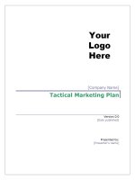 Tactical marketing plan- kế hoạch chiến thuật chào 