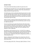 Qui luật các nhãn hiệu phụ 