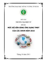 Mức độ ứng dụng thương mại điện tử ở việt nam.doc