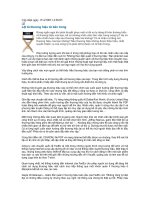 Lột tả thương hiệu từ bên trong 