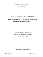 Tìm hiểu về hệ thống nông lâm kết hợp truyền thống