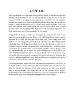 Trái phiếu quốc tế, tổng quan, thực trạng và giải pháp tại Việt Nam.doc