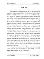 Thiết lập cơ cấu vốn tối ưu thông qua sử dụng công cụ huy động vốn bằng trái phiếu cho Công ty cổ phần Chứng khoán HASECO.docx