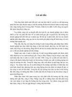 Biện pháp nhằm đẩy mạnh tiêu thụ sản phẩm trên thị trường nội địa của công ty May Thăng Long